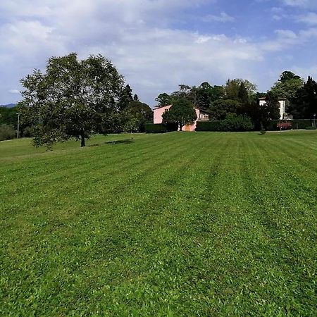 Residenza Le Api Villa Lucca Kültér fotó